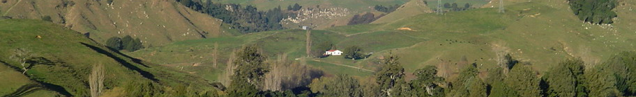 farm cottage last pitch